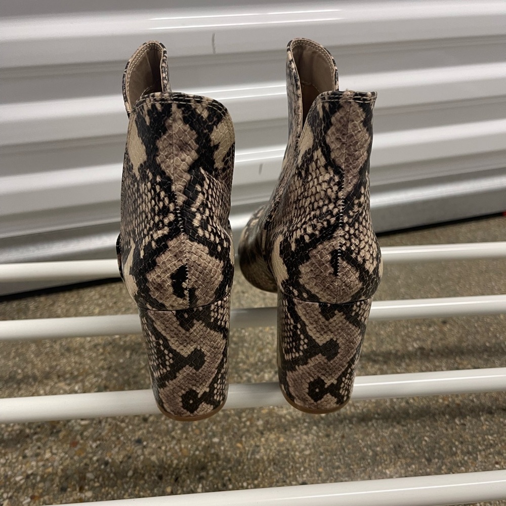 Steve Madden | Snake Print | Round Toe Ankle Boot… - image 3
